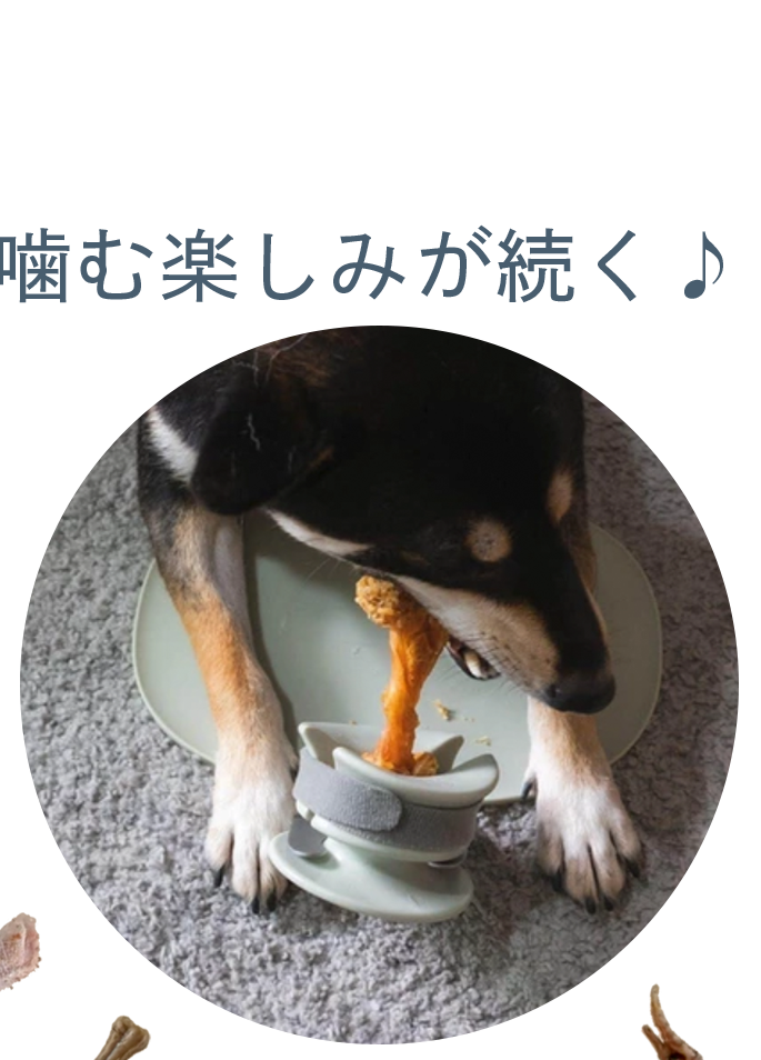 愛犬のおやつフォルダー Chewden 株式会社ティービーアイ Ec事業部