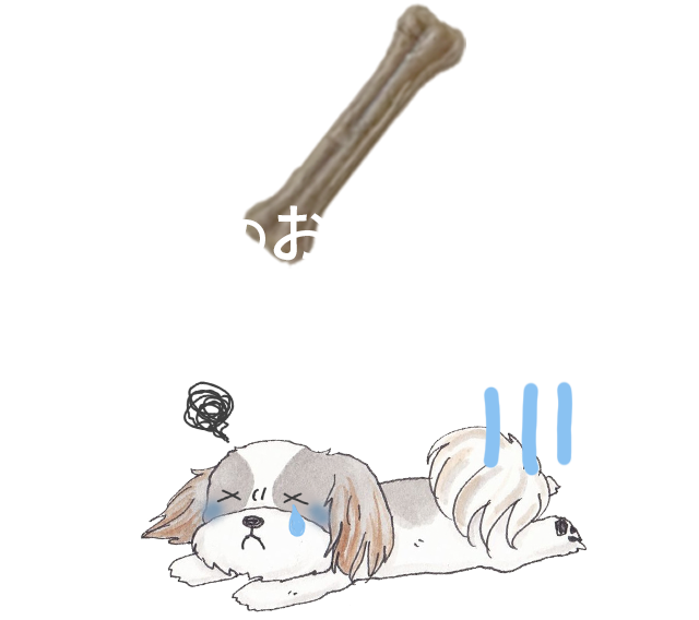 犬のおやつ問題